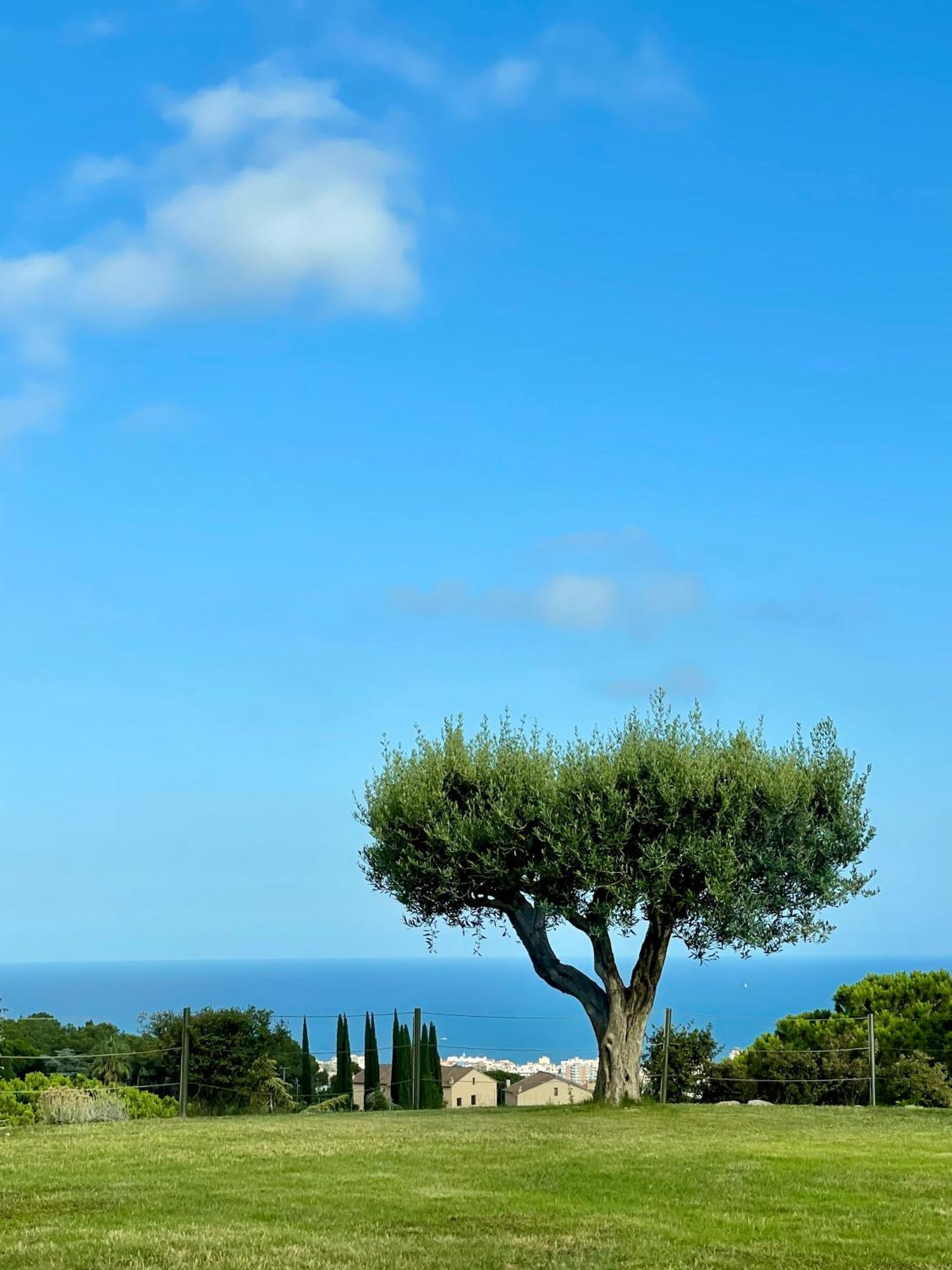 Palm Maresme - Suite With Bathroom And Terrasse With Ocean Views In A Private Villa Vilassar De Dalt Exterior photo